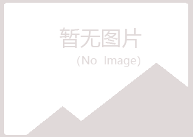 碾子山区宿命会计有限公司